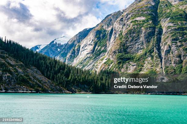 passage dans le bras endicott en alaska - couloir maritime intérieur photos et images de collection