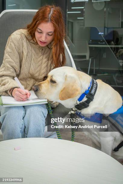 young woman studies with service dog in learning center - service animal stock pictures, royalty-free photos & images