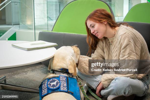 young woman with disability attends school with service dog - service animal stock pictures, royalty-free photos & images
