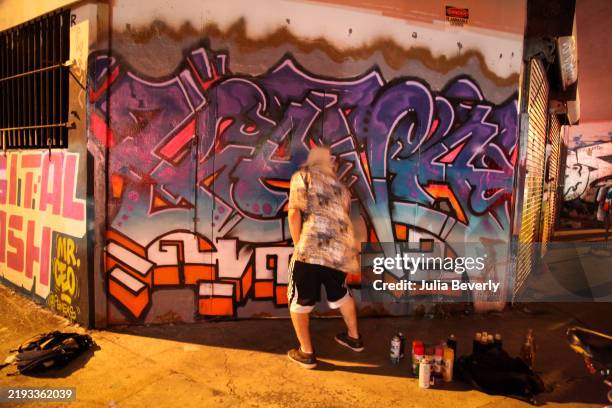 Street artist paints graffiti in the Wynwood neighborhood of Miami, Florida in 2015.