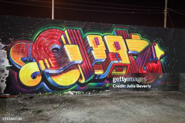 Street art is seen in the Wynwood neighborhood of Miami, Florida in 2015.