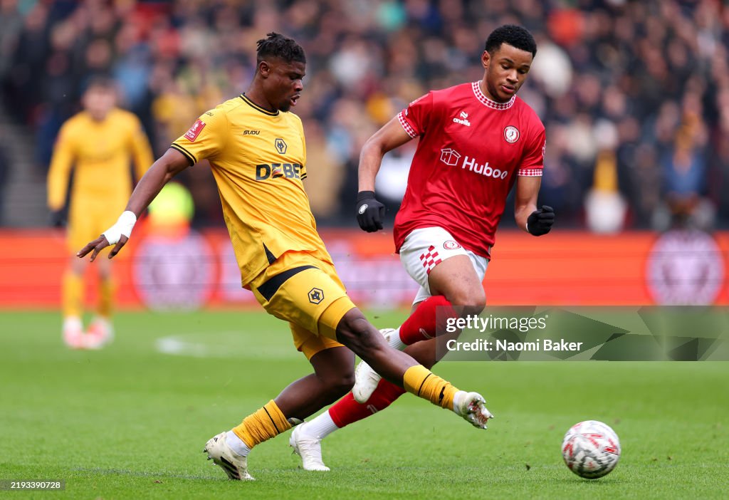 Bristol City v Wolverhampton Wanderers - Emirates FA Cup Third Round
