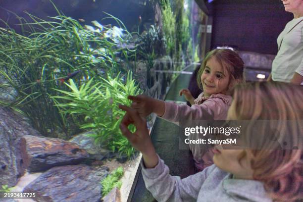 excited children looking at big aquarium with fish - aquário edifício para cativeiro animal imagens e fotografias de stock