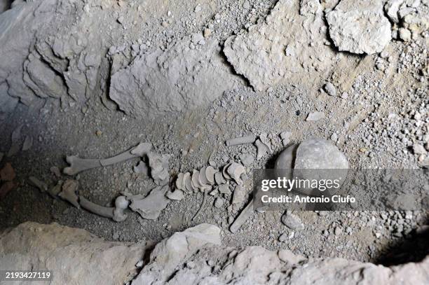remaining bones of human skeleton, punic sarcophagus, utica archaeological site - tunisia - physiology stock pictures, royalty-free photos & images