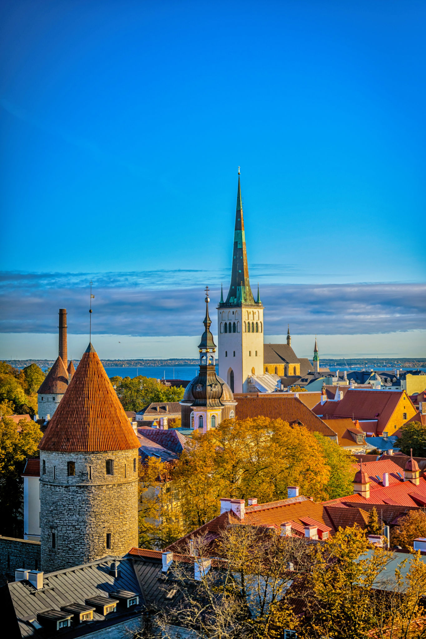 tallinn design
