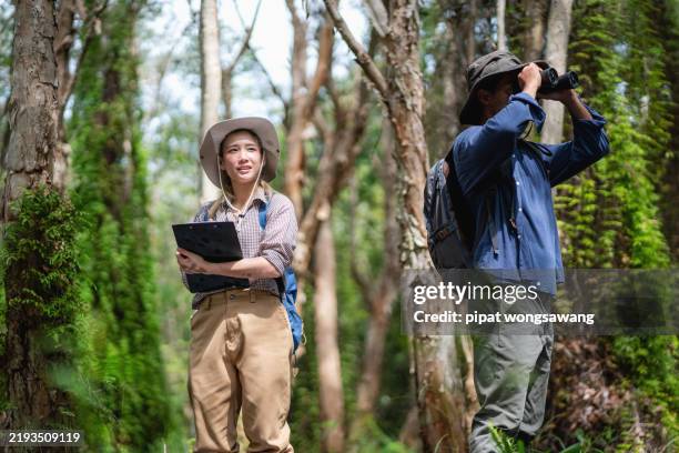 biologists or conservationists are collecting plant samples in mangrove forests. - biodiversität stock-fotos und bilder