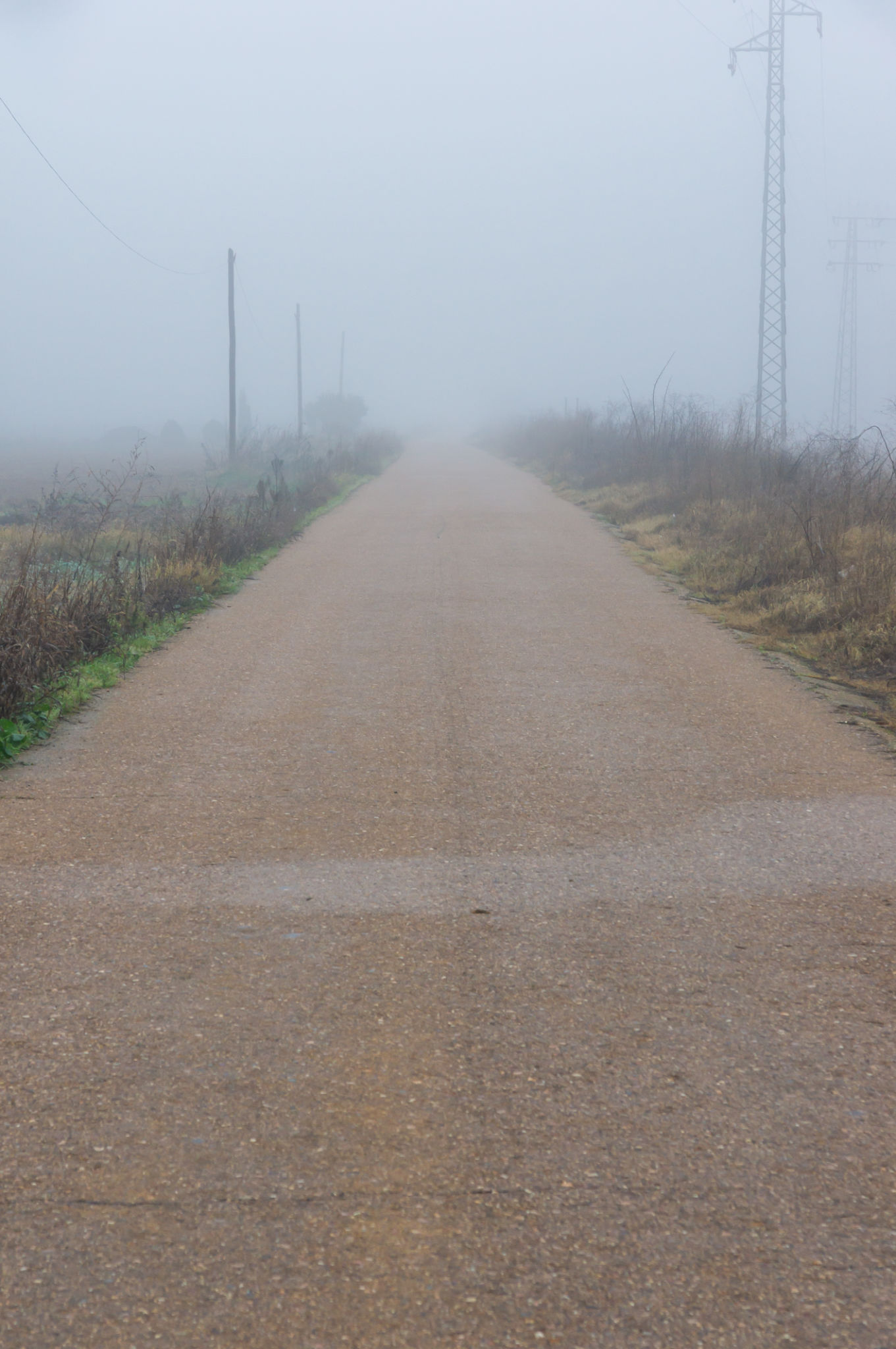 Lost Horizon: Straight Road Shrouded in Fog. Lost Horizon: Straight Road Shrouded in Fog.