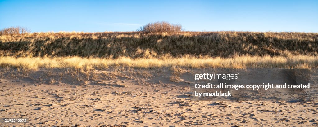 Sand Dunes at Turnberry, Scotland.