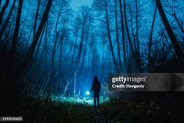 silhouette d’homme. brouillard en forêt - étendue sauvage scène non urbaine photos et images de collection