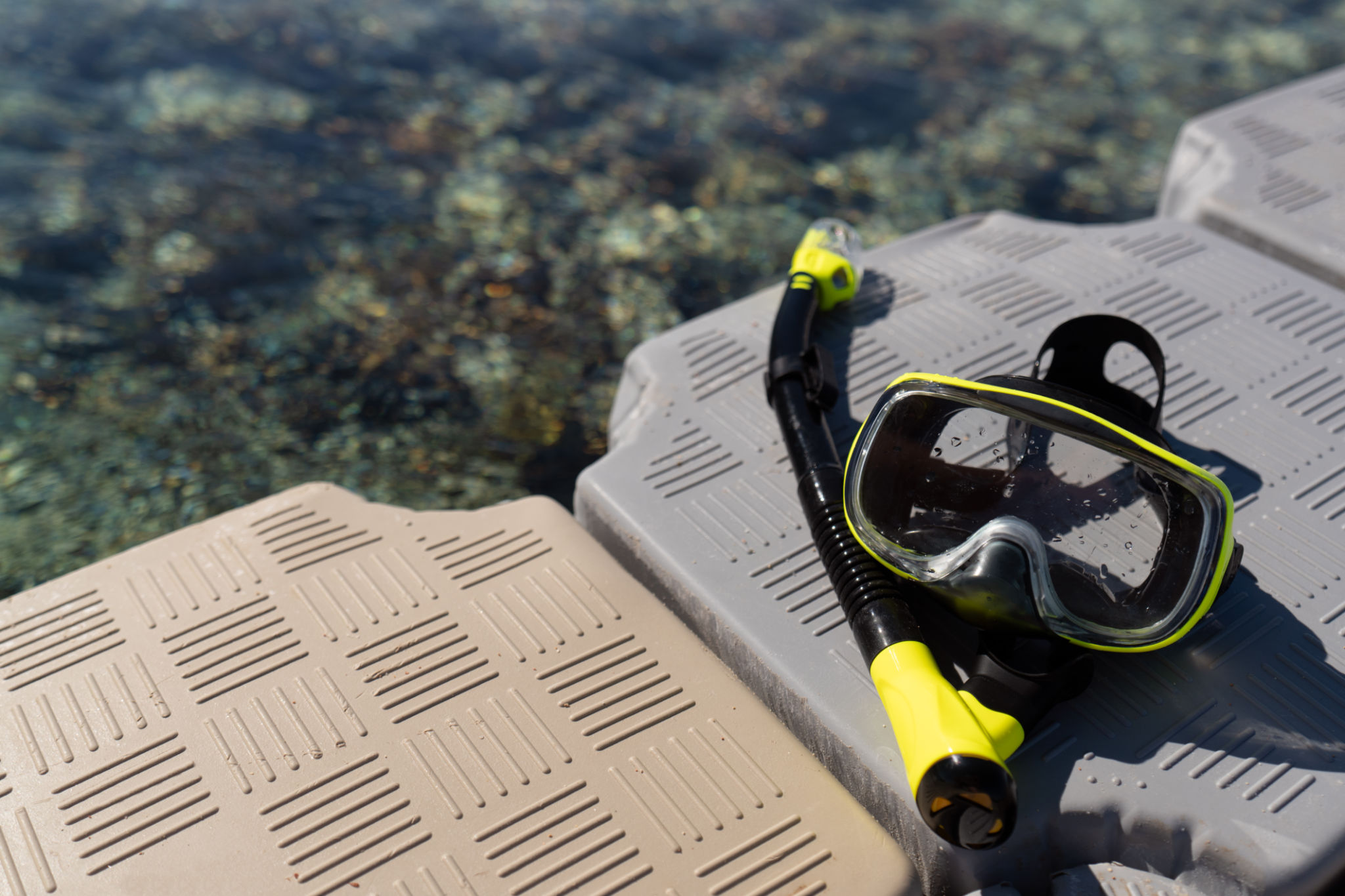 group snorkeling