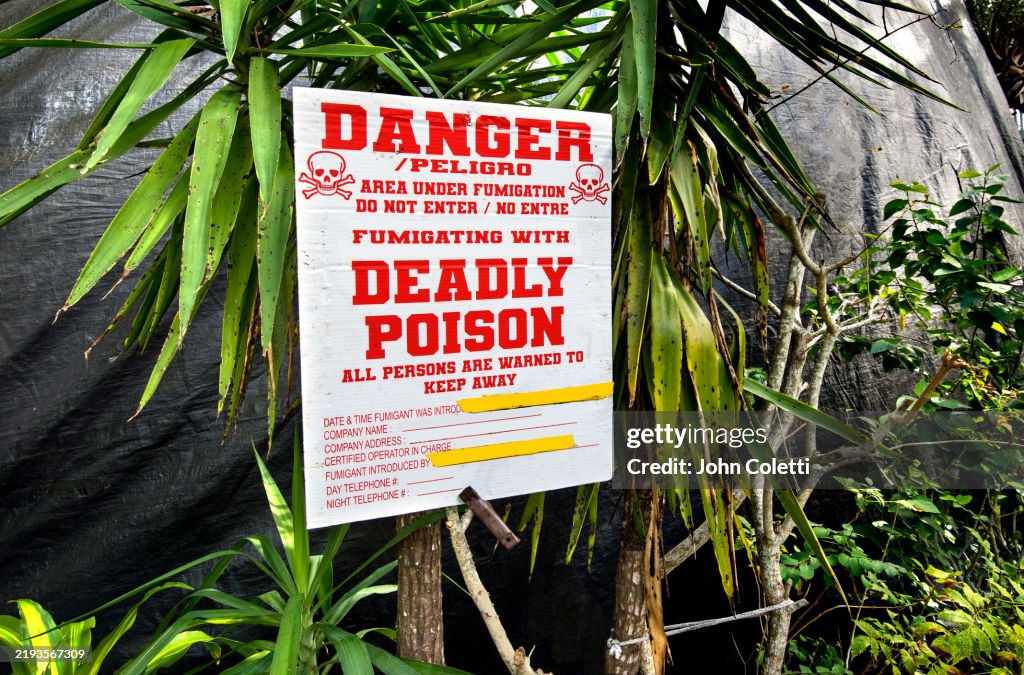Warning Sign, Pest Control, Fumigation Tent Over House, Dry Wood Termite Control
