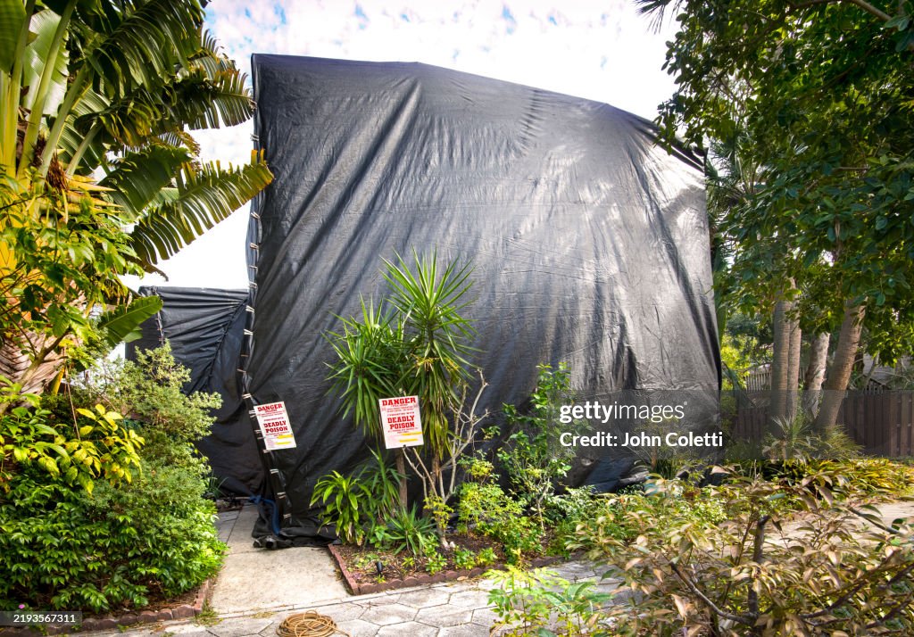 Pest Control, Fumigation Tent Over House, Dry Wood Termite Control