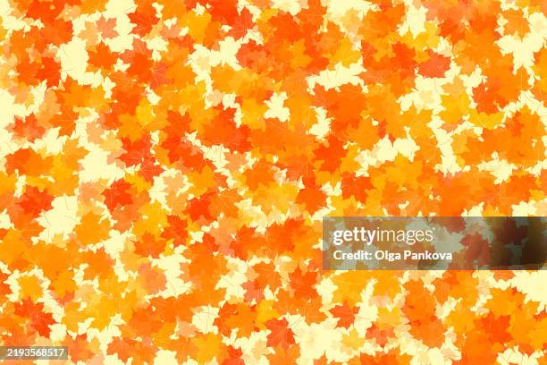 autumn maple leaves pattern creating a vibrant fall backdrop - maple leaf pattern stock pictures, royalty-free photos & images