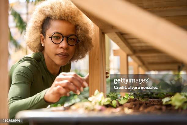 young woman taking care of plants in a greenhouse. sustainability concept - environmentalist stock pictures, royalty-free photos & images