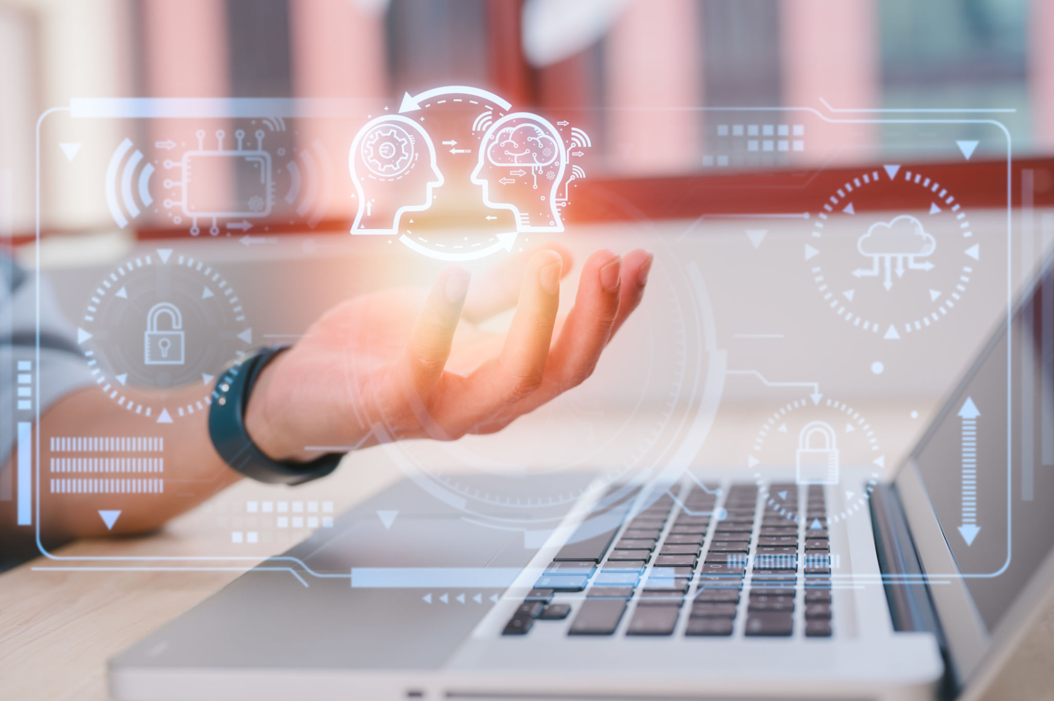 customer insights