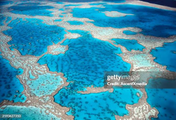 grande barreira de corais. vista elevada - grande barreira de coral - fotografias e filmes do acervo