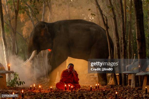 126 Elephant Graveyard Stock Photos and High-Res Images - Getty Images