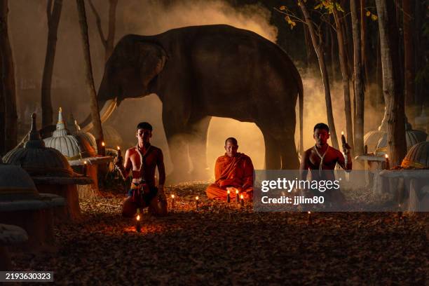 Elephant Welcome Ritual 150 Elephant Blessing Ceremony Stock Photos, High-Res Pictures, and ...