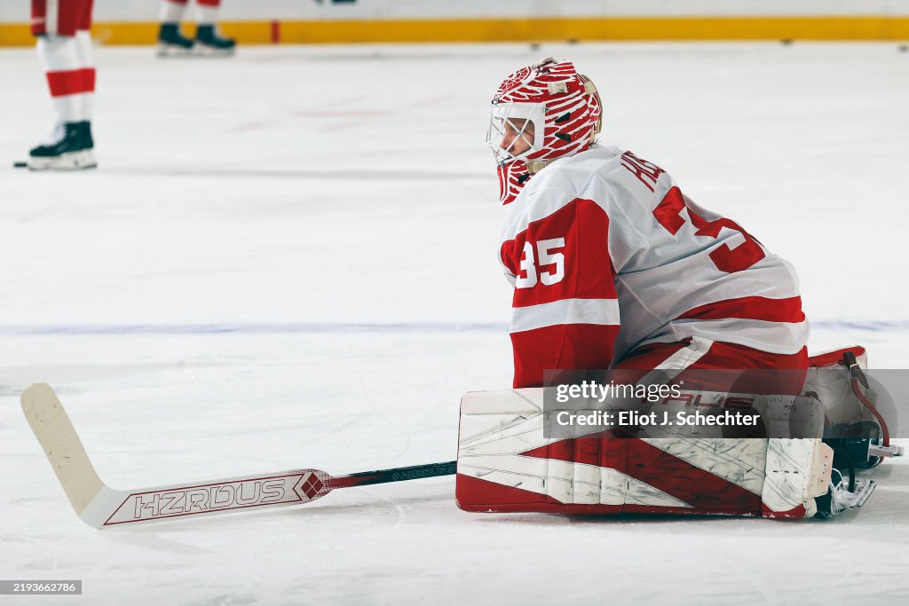 Detroit Red Wings v Florida Panthers