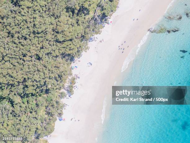 Murrays Beach 73 Murrays Beach Stock Photos, High-Res Pictures, and Images - Getty Images