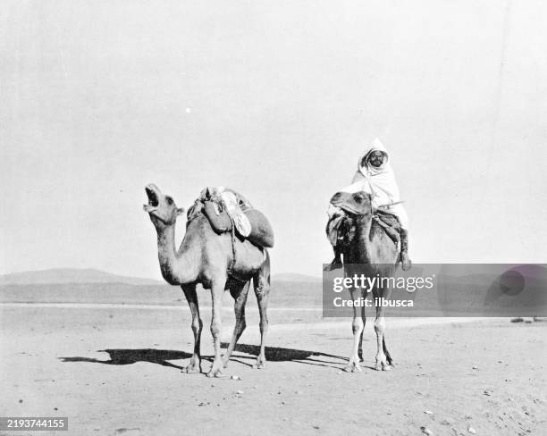 illustrazioni stock, clip art, cartoni animati e icone di tendenza di sahara, algeria - tribù africana