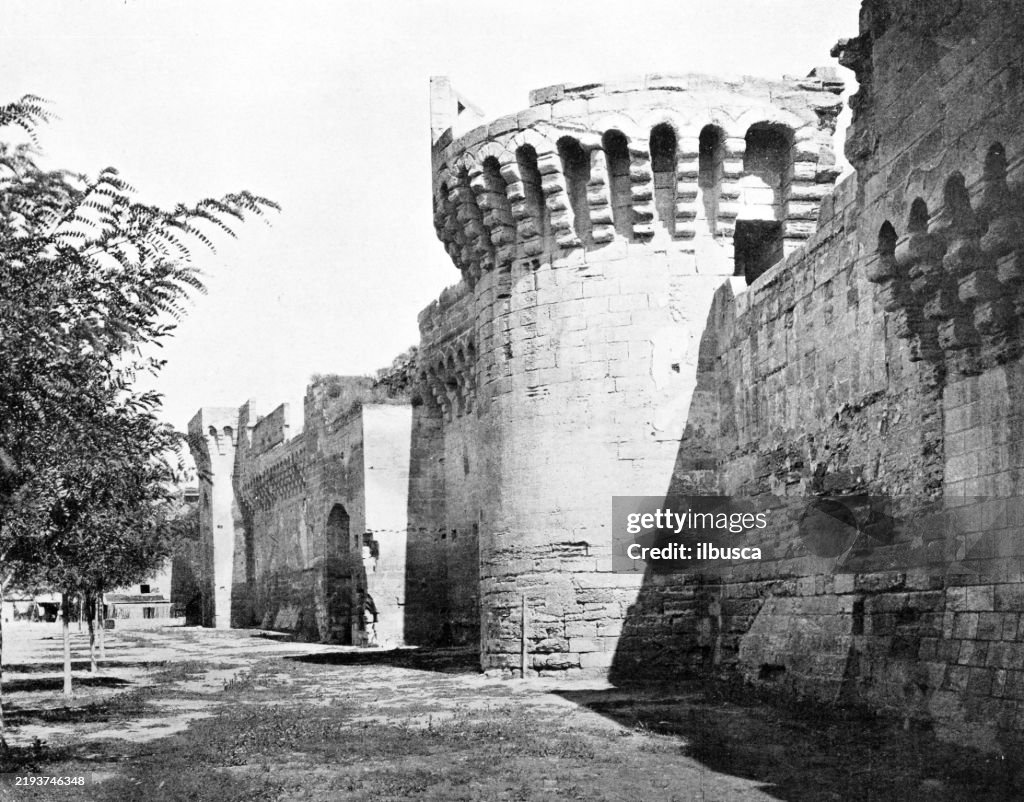 Avignon