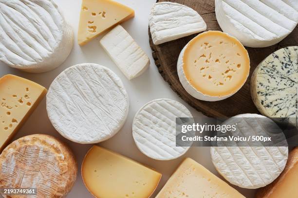 milk cheese on a white background - cheese stockfoto's en -beelden