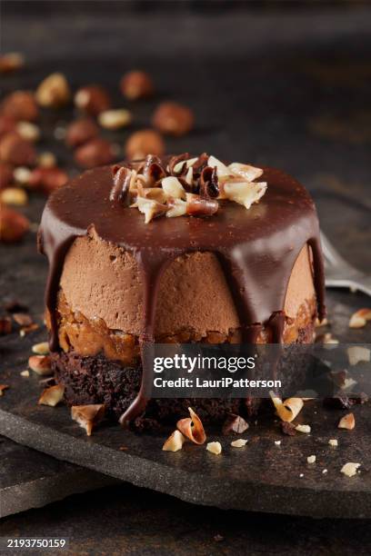 individual chocolate mousse hazelnut fudge cake - hazelnut stock pictures, royalty-free photos & images