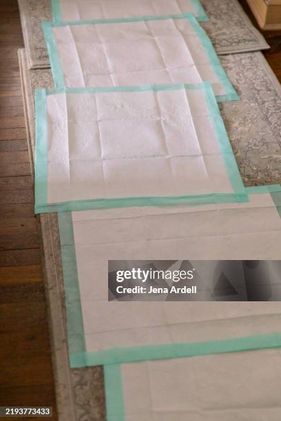 dog pee pads, dog potty training pads, housetraining - padding stock pictures, royalty-free photos & images