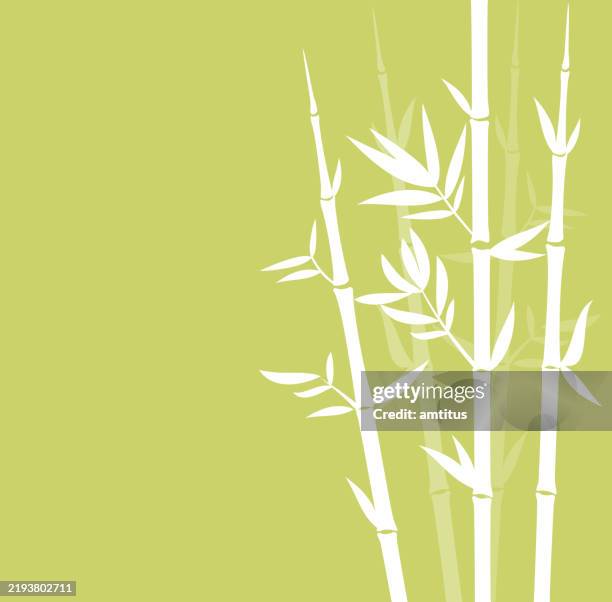 bamboo background - bamboo material stock illustrations