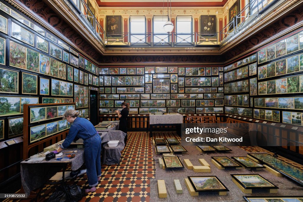 Library Conservator Kew's Chloe Mills, senior conservator for library and archives and ...