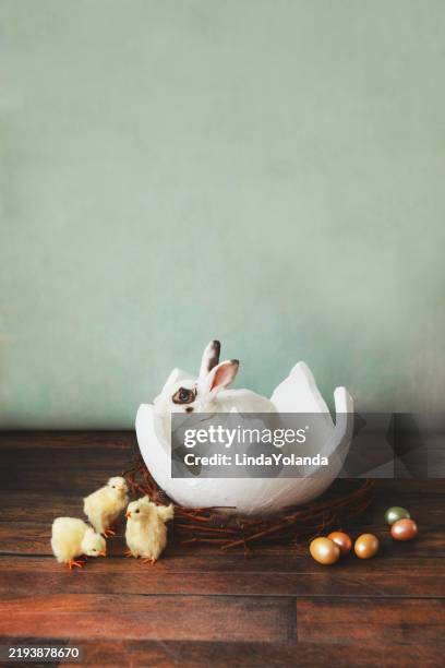 77 Linda Rabbitt Stock Photos, High-Res Pictures, and Images - Getty Images