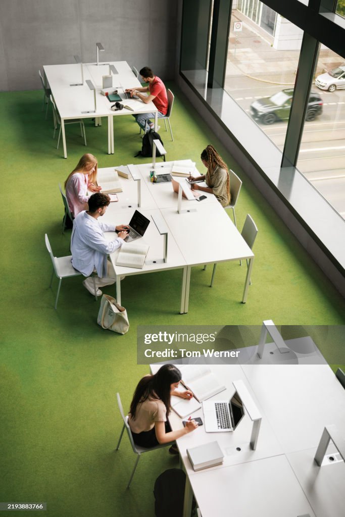 Aerial View of a Library Study Area Shows a Diverse Student Group