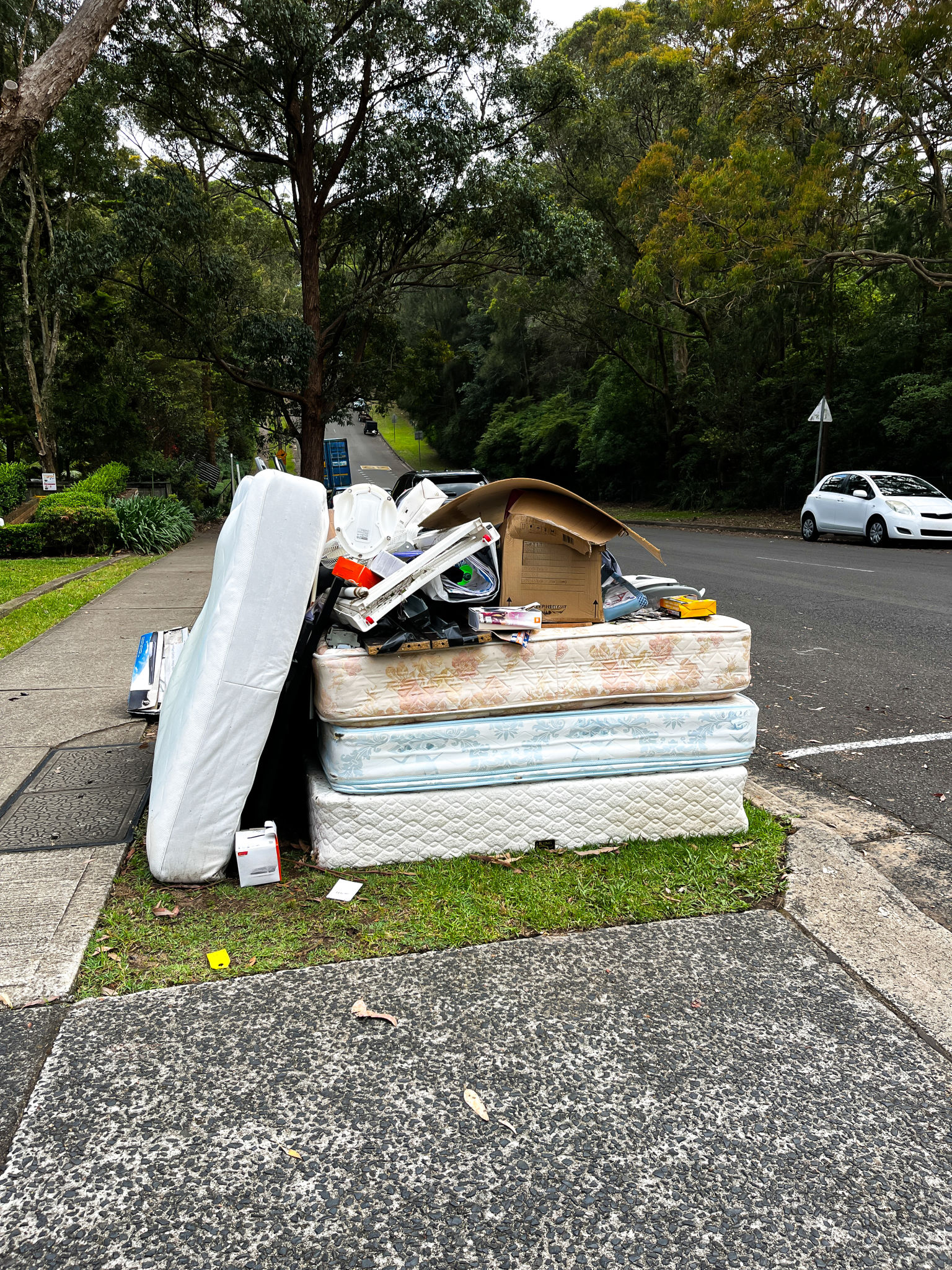 junk removal service