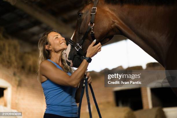 happy woman bonding with her horse in rustic barn setting - trycka nosen mot bildbanksfoton och bilder