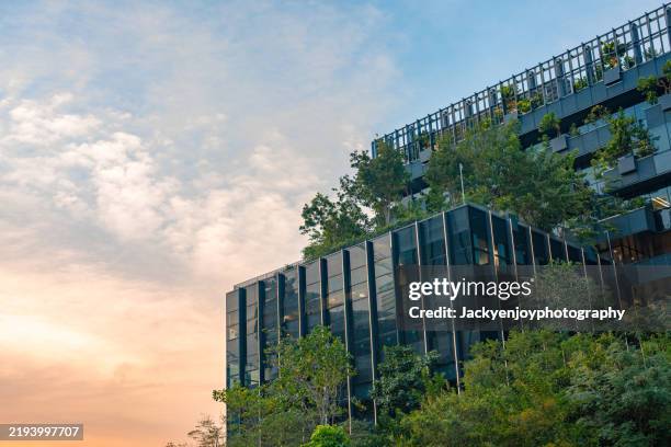 modern building with vertical green - architettura ecologica foto e immagini stock