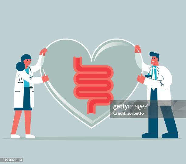 healthcare - digestive system - colon stock illustrations