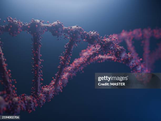 dna chain chromosome - helix model stock pictures, royalty-free photos & images