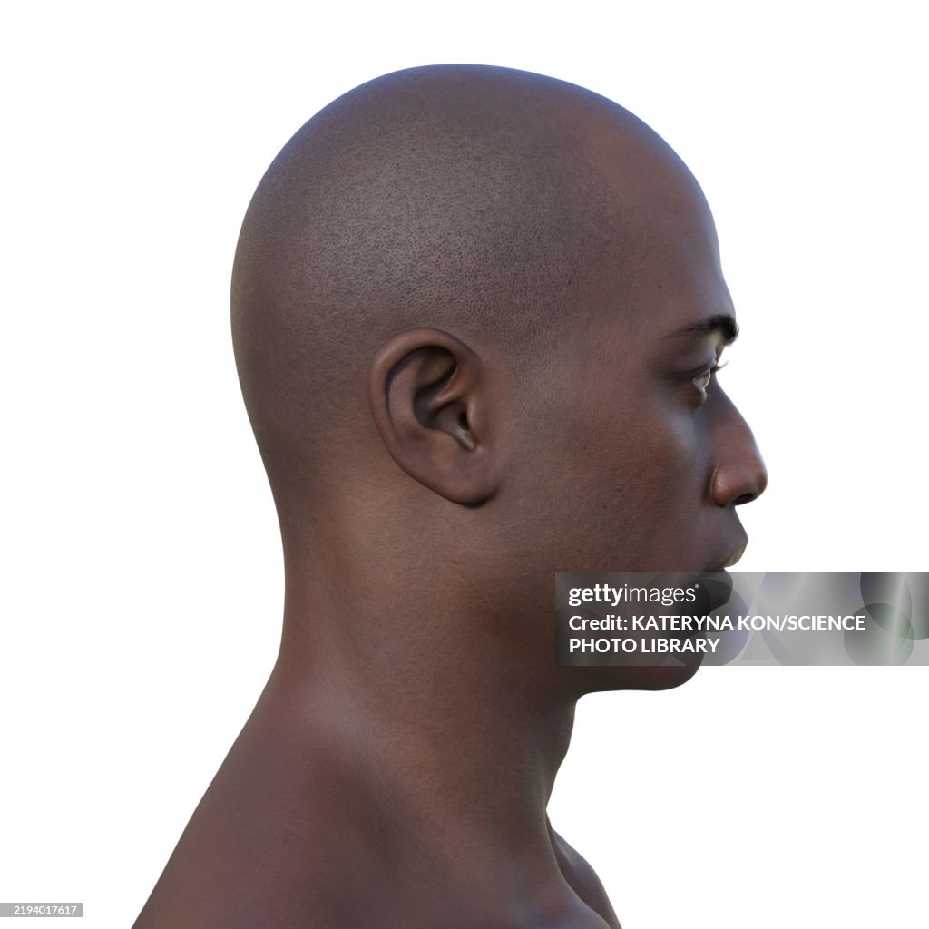 Man's head, illustration