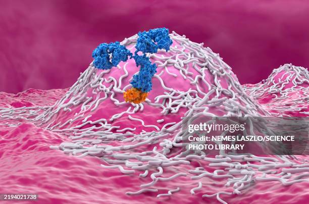 monoclonal antibody therapy for ependymoma, illustration - cell therapy stock illustrations