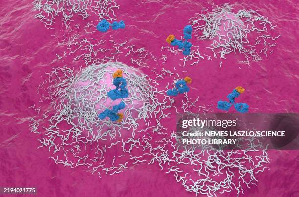 monoclonal antibody therapy for ependymoma, illustration - immunotherapy stock illustrations