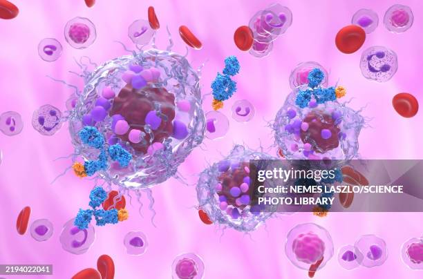 monoclonal antibody therapy for neuroendocrine tumours, illustration - carcinoid stock illustrations