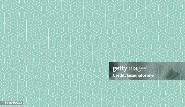 stockillustraties, clipart, cartoons en iconen met seamless geometric vector pattern - lotus