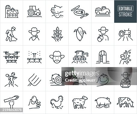 Farming And Agriculture Thin Line Icons - Editable Stroke - Icons Include A Farmer Farming, Barn With Silo, Cultivation, Tractor In Field, Crops, Harvesting, Farm Produce, Wheat, Corn, Harvest, Hay, Farm Animals, Livestock, Cow, Sheep, Chicken Farming And Agriculture Thin Line Icons - Editable Stroke - Icons Include A Farmer Farming, Barn With Silo, Cultivation, Tractor In Field, Crops, Harvesting, Farm Produce, Wheat, Corn, Harvest, Hay, Farm Animals, Livestock, Cow, Sheep, Chicken