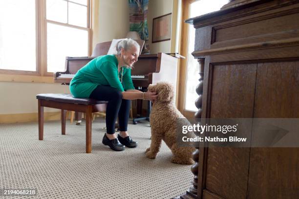 dog owner indoors - bending stock pictures, royalty-free photos & images