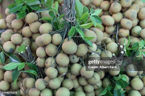 Longkong And Langsat, 照片檔