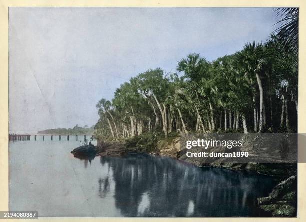view on the indian river, florida, usa, 1890s vintage photograph 19th century - indian river lagoon stock illustrations