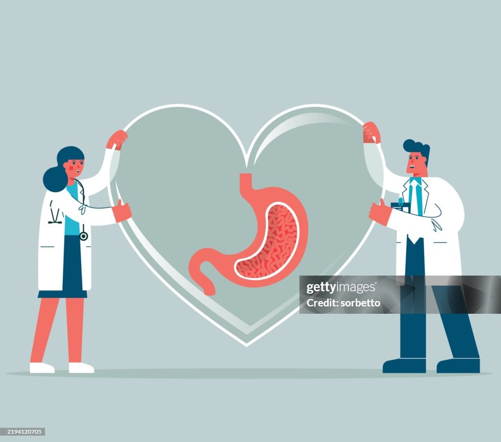 Healthcare - Human stomach