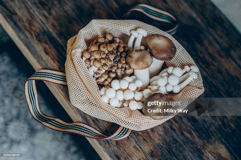 Various edible Asian mushrooms. Set of vegetables. Dark photo natural light.