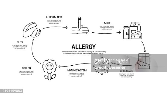 Allergy Related Vector Illustration. Basic Allergens, Nut, Soybean, Pet, Mushroom, Gluten, Corn, Milk, Chocolate. Allergy Related Vector Illustration. Basic Allergens, Nut, Soybean, Pet, Mushroom, Gluten, Corn, Milk, Chocolate.